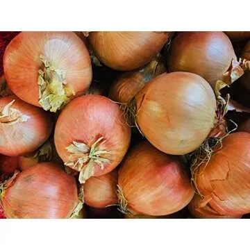Kejora Jumbo Yellow Onions - 8 Lbs Non-GMO & Gluten-Free