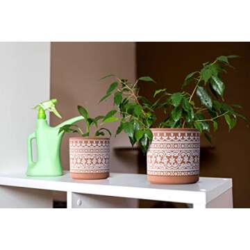 D'vine Dev Terracotta Pots with Drainage & Saucer