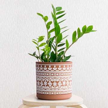 D'vine Dev Terracotta Pots with Drainage & Saucer