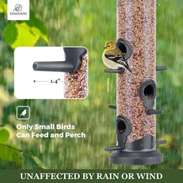 Bird Feeders for Wild Birds - Durable & Stylish Design