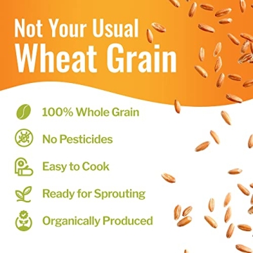 Organic Spelt Berries - Nutritious Whole Grains for Cooking