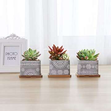 T4U 3.5 Inch Cement Succulent Pot with Bamboo Saucer Set of 3, Concrete Square Planter Cactus Plant Herb Container for Gardening Home and Office Decoration Birthday Wedding