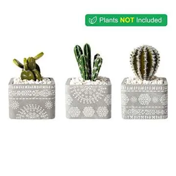 T4U 3.5 Inch Cement Succulent Pot Set with Bamboo Saucer