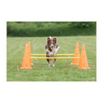 TRIXIE Dog Agility Hurdle Cone Set – Dog Agility Set with Height Adjustable Crossbar for Beginners...