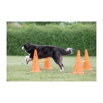 TRIXIE Dog Agility Hurdle Cone Set – Dog Agility Set with Height Adjustable Crossbar for Beginners & Advanced, Dog Agility Equipment for Dog Obstacle Courses – 6 x Cones, 3 x Agility Rods
