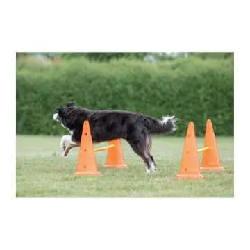 TRIXIE Dog Agility Hurdle Cone Set – Dog Agility Set with Height Adjustable Crossbar for Beginners & Advanced, Dog Agility Equipment for Dog Obstacle Courses – 6 x Cones, 3 x Agility Rods