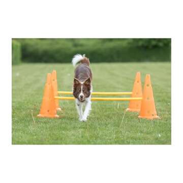 TRIXIE Dog Agility Hurdle Cone Set – Dog Agility Set with Height Adjustable Crossbar for Beginners & Advanced, Dog Agility Equipment for Dog Obstacle Courses – 6 x Cones, 3 x Agility Rods