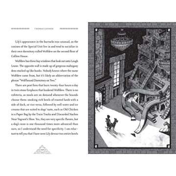 Ronan Boyle: A Captivating Fantasy for Young Readers