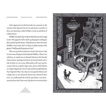 Ronan Boyle: A Captivating Fantasy for Young Readers