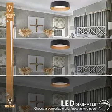 Bargeni 12.5 inch Dimmable Flush Mount Ceiling Light