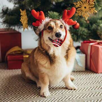 KOOLTAIL Christmas Squeaky Tennis Balls for Dogs 12Pack