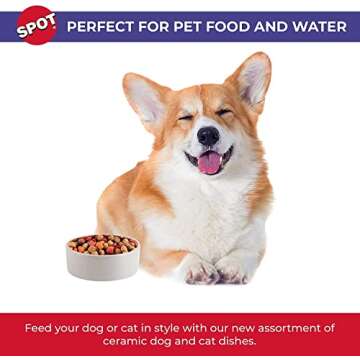 SPOT Standard Crock Dish for Small Animals - Food/Water Bowl for Small Pets, Round Ceramic Bowl with High Walls, Ideal for Birds, Small Cats, Dishwasher Safe - 4 inch, 1 Cup (8oz)