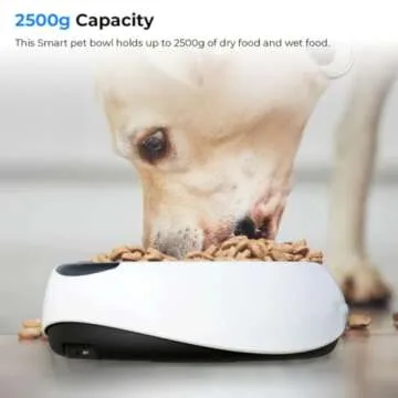 Waggle Smart Pet Feeder for Health & Nutrition Tracking