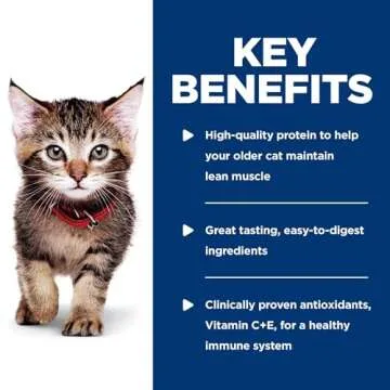 Hill's Science Diet Kitten Chicken Stew Wet Cat Food