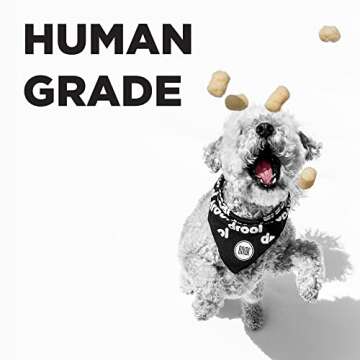 BIXBI Liberty Ruff Puffs, Sweet Potato And Apple 4 oz - Crunchy Small Training Treats for Dogs - Wheat Free and Low Calorie Dog Treats, Flavorful Healthy and All Natural Dog Treats