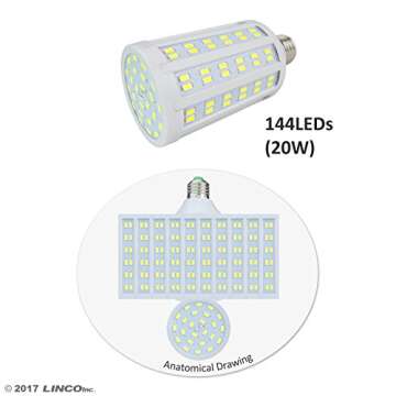 LINCO LED Continuous Photography Video Studio - Easy Setup