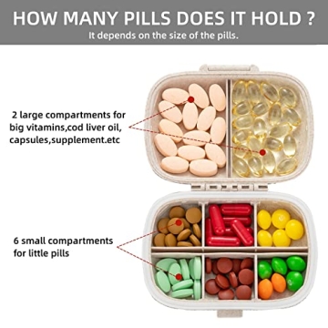 EveryBling Portable Medicine Organizer with 8 Compartments