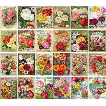 Vintage PostCards 24 pcs Flowers Vintage Gardens and Roses