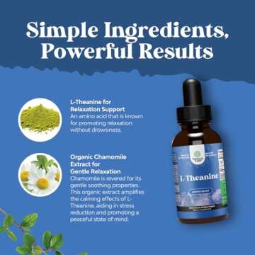 High Absorption L-Theanine Liquid Drops - Nootropic Focus Supplement with L Theanine 200mg Per Serving and Chamomile Extract - L Theanine Supplement for Adults and Kids Relaxation and Focus - 2oz