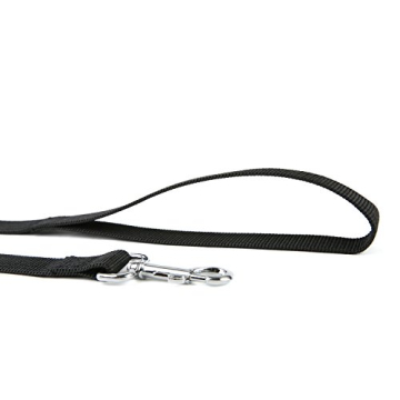 Nylon Dog Training Leash for Small & Medium Dogs - Durable & Stylish