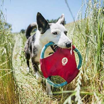 ZippyPaws Rope Gliderz - Durable Outdoor Dog Frisbee Toy, Soft Pet Flying Disc for Beach & Pool, Interactive Rope Frisbee for Fetching, Made of Tough Mountain Climbing Rope - Magenta