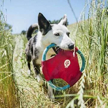 ZippyPaws Rope Gliderz - Durable Outdoor Dog Frisbee Toy, Soft Pet Flying Disc for Beach & Pool, Interactive Rope Frisbee for Fetching, Made of Tough Mountain Climbing Rope - Magenta