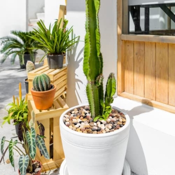 GASPRO Decorative Rocks for Stunning Landscaping Solutions