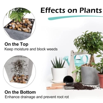 GASPRO Decorative Rocks for Stunning Landscaping Solutions