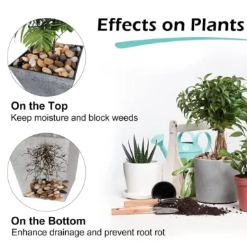 GASPRO Decorative Rocks for Stunning Landscaping Solutions