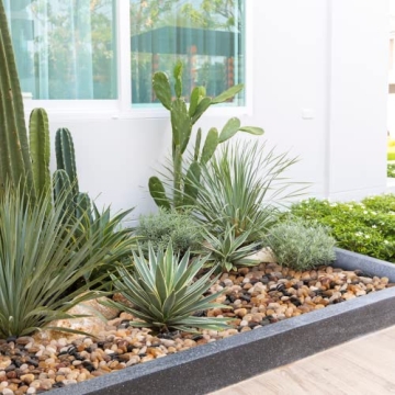 GASPRO Decorative Rocks for Stunning Landscaping Solutions