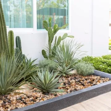 GASPRO Decorative Rocks for Stunning Landscaping Solutions
