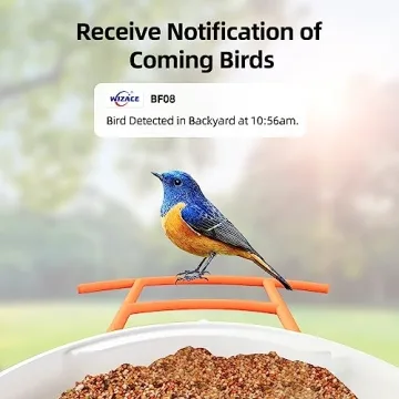 WIZACE Smart Bird Feeder Camera for Bird Watching