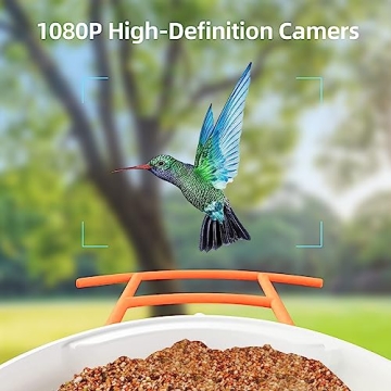 WIZACE Smart Bird Feeder Camera for Bird Watching