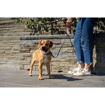 Sarah Says Pets Waterproof Dog Leash | Durable Long Line for Small Dogs and Puppy Under 40 lbs | Long Training Leash for Yard, Beach, Field (Black, 6ft x 3/8")