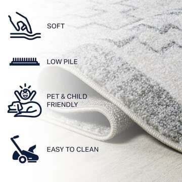 Stylish 4x6 Amir Moroccan Area Rug - Easy Cleaning and Durable