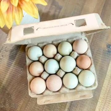 HT SUPPLY Dozen Egg Cartons 30-Pack – Paper Pulp Egg Cartons Reusable - FRESH EGGS Vintage Egg Holder for 12 Eggs for Farm Stand Supplies, Produce Containers Farmers Market