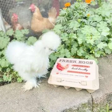 HT SUPPLY Dozen Egg Cartons 30-Pack – Paper Pulp Egg Cartons Reusable - FRESH EGGS Vintage Egg Holder for 12 Eggs for Farm Stand Supplies, Produce Containers Farmers Market