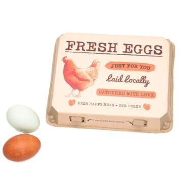 HT SUPPLY Dozen Egg Cartons 30-Pack – Paper Pulp Egg Cartons Reusable - FRESH EGGS Vintage Egg Holder for 12 Eggs for Farm Stand Supplies, Produce Containers Farmers Market