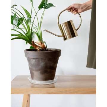 PACETAP 16 inch Plant Saucer Pot Tray 5 Pack, Extra Large Heavy Duty Flower Planter Water Drip Trays for Indoors Outdoors Garden, Round Plastic Planter Water Catcher for Pot, Plant Dish