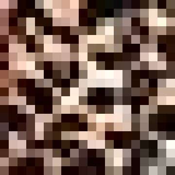 CAMPSNAIL Biker Shorts Women with Pockets - High Waist Tummy Control Spandex Workout Shorts for Gym ...