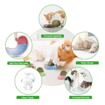 Exciting Natural Catnip Wall Balls for Joyful Cats