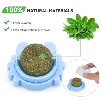 Exciting Natural Catnip Wall Balls for Joyful Cats