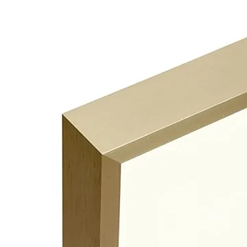 Golden State Art, 16x20 Picture Frame Gold Aluminum (Shiny Brushed) Display Pictures 11x14 with Mat or 16x20 Without Mat Wall Mounting Real Glass Metal Photo Frame