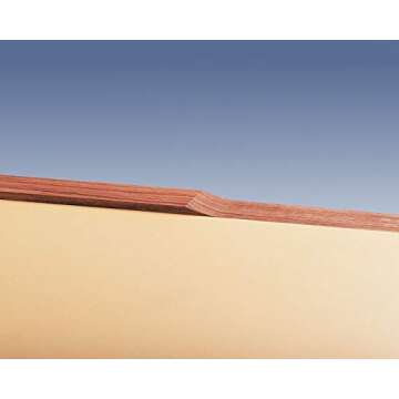 Virutex CE53S Edge Planer for Perfect Flush Cuts in Woodworking