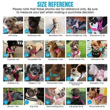 Lukovee Dog Harness and Leash Set, Soft Padded Small Dog Harness, Neck & Chest Adjustable Reflective Vest Puppy Harness with 4ft Lightweight Anti-Twist Dog Leash for Small Dogs (XX-Small, Blue)