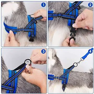 Lukovee Dog Harness and Leash Set, Soft Padded Small Dog Harness, Neck & Chest Adjustable Reflective Vest Puppy Harness with 4ft Lightweight Anti-Twist Dog Leash for Small Dogs (XX-Small, Blue)