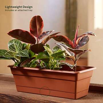Bloem Dura Cotta Window Box Planter: 18" - Terra Cotta- with Tray, Weatherproof Resin Box, Removable Tray for Indoor & Outdoor Use, Gardening, 2 Gallon Capacity