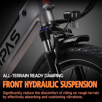 Aipas 48V 28.4Ah Electric Cargo Bike for Adults