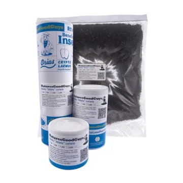 Dalotia (Atheta) coriaria - Rove Beetle - 100 Insects per Unit