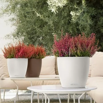 Lechuza Classico 35 Self-Watering Planter for Vibrant Indoor and Outdoor Plants